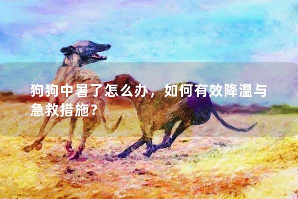 狗狗中暑了怎么辦，如何有效降溫與急救措施？
