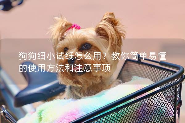 狗狗細(xì)小試紙怎么用？教你簡單易懂的使用方法和注意事項
