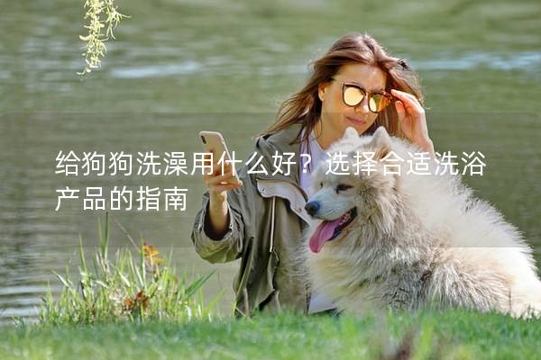 給狗狗洗澡用什么好?選擇合適洗浴產品的指南