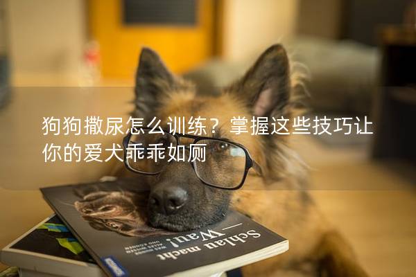 狗狗撒尿怎么訓練？掌握這些技巧讓你的愛犬乖乖如廁