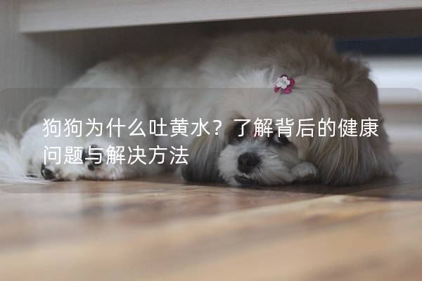 狗狗為什么吐黃水？了解背后的健康問題與解決方法