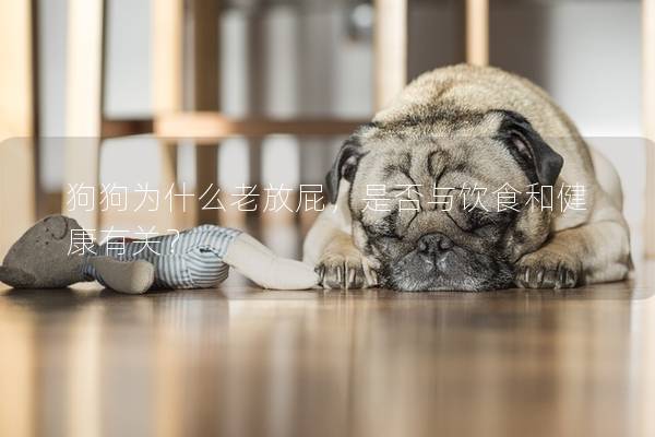 狗狗為什么老放屁，是否與飲食和健康有關？