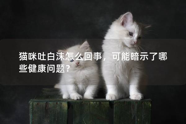 貓咪吐白沫怎么回事，可能暗示了哪些健康問題？