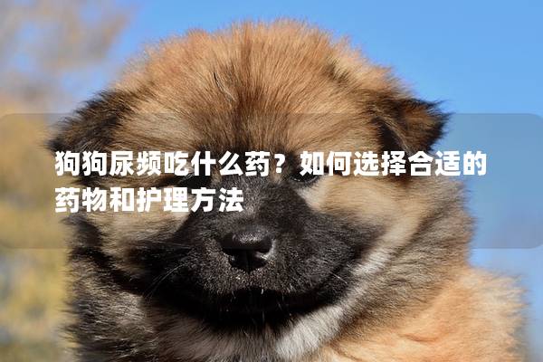 狗狗尿頻吃什么藥？如何選擇合適的藥物和護理方法