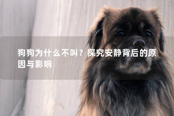狗狗為什么不叫？探究安靜背后的原因與影響