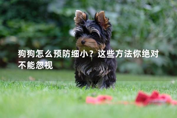 狗狗怎么預(yù)防細(xì)小？這些方法你絕對(duì)不能忽視