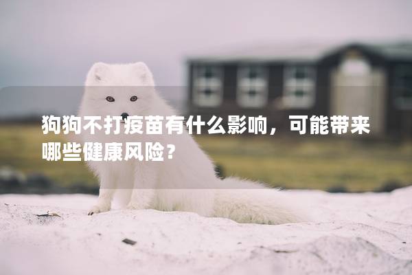 狗狗不打疫苗有什么影響，可能帶來哪些健康風險？