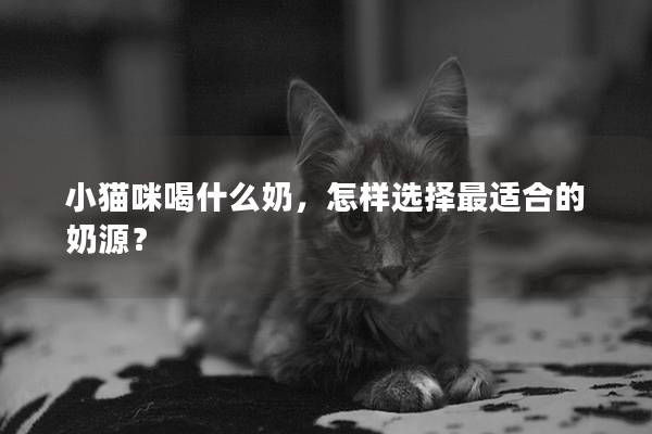 小貓咪喝什么奶，怎樣選擇最適合的奶源？