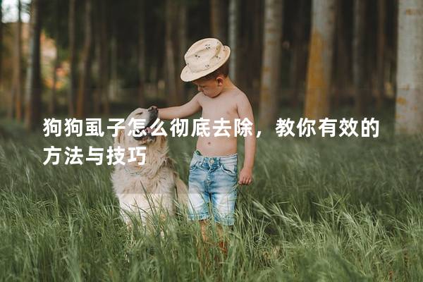 狗狗虱子怎么徹底去除，教你有效的方法與技巧