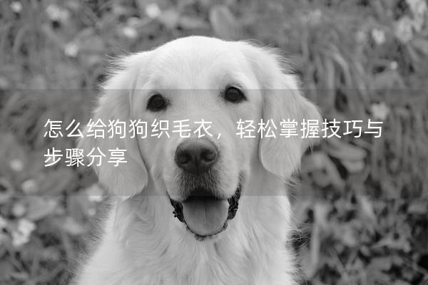 怎么給狗狗織毛衣，輕松掌握技巧與步驟分享