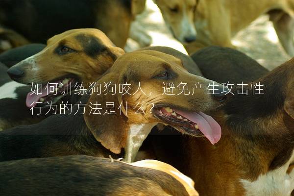 如何訓練狗狗咬人,避免產生攻擊性行為的方法是什么? 如何訓練狗狗咬人,避免產生攻擊性行為的方法是什么?