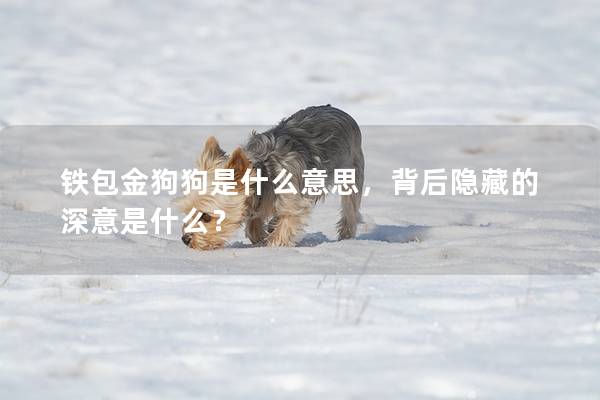 鐵包金狗狗是什么意思，背后隱藏的深意是什么？
