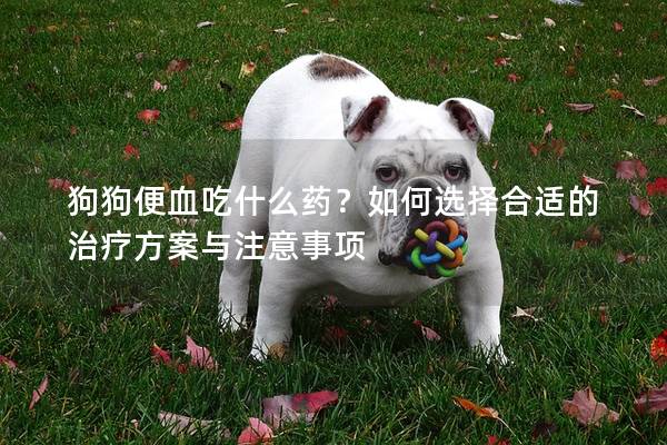 狗狗便血吃什么藥？如何選擇合適的治療方案與注意事項(xiàng)