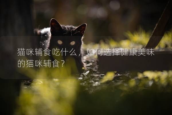貓咪輔食吃什么，如何選擇健康美味的貓咪輔食？