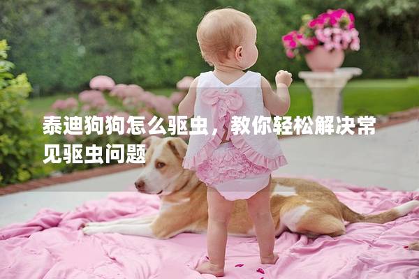 泰迪狗狗怎么驅蟲，教你輕松解決常見驅蟲問題