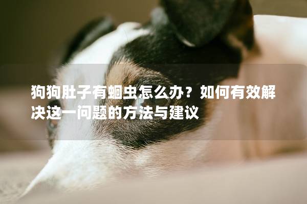 狗狗肚子有蛔蟲怎么辦？如何有效解決這一問題的方法與建議