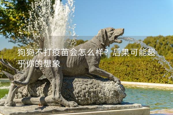 狗狗不打疫苗會怎么樣？后果可能超乎你的想象