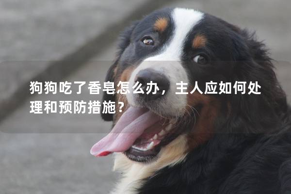 狗狗吃了香皂怎么辦，主人應如何處理和預防措施？