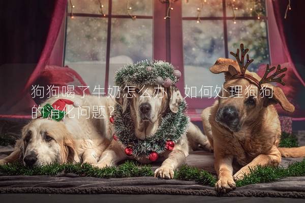 狗狗喝了牛奶怎么辦，如何處理狗狗的消化問題？