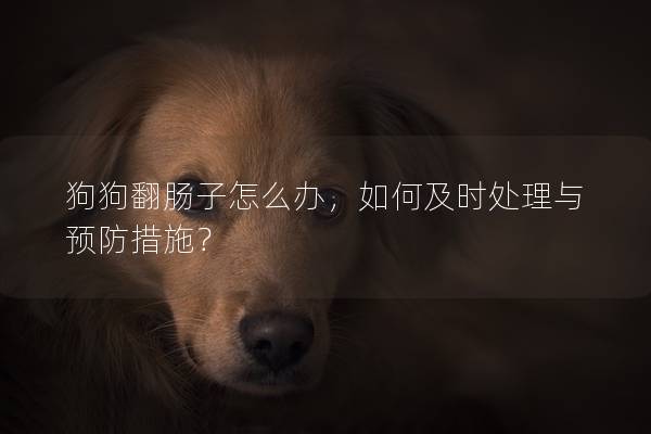 狗狗翻腸子怎么辦，如何及時處理與預防措施？