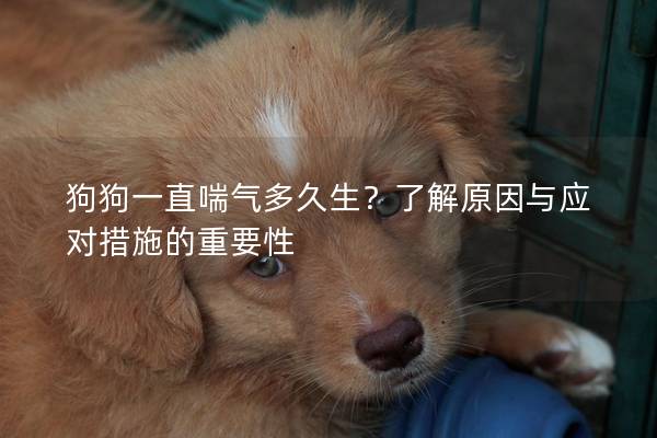 狗狗一直喘氣多久生？了解原因與應對措施的重要性