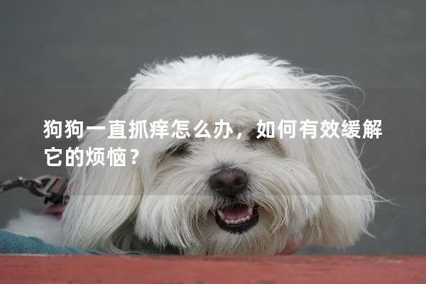 狗狗一直抓癢怎么辦，如何有效緩解它的煩惱？