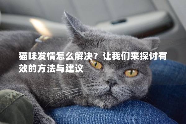 貓咪發情怎么解決？讓我們來探討有效的方法與建議
