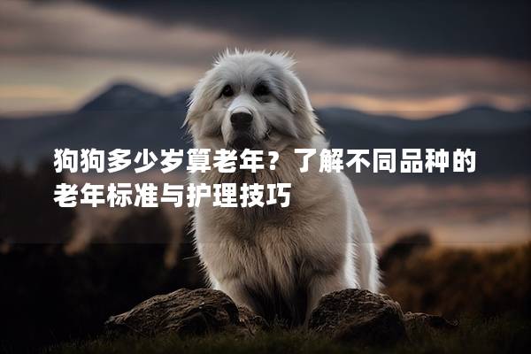 狗狗多少歲算老年？了解不同品種的老年標準與護理技巧