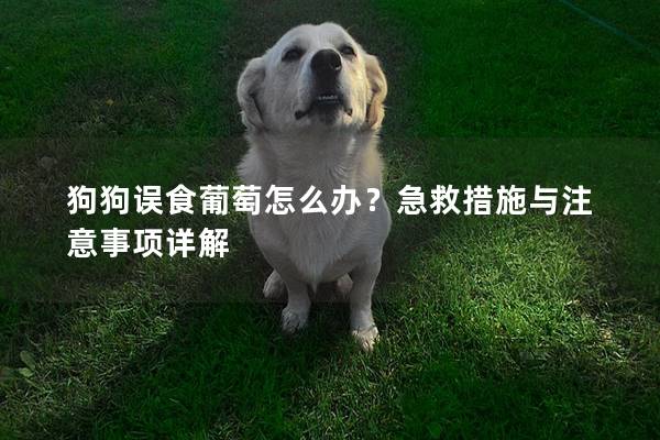 狗狗誤食葡萄怎么辦？急救措施與注意事項詳解