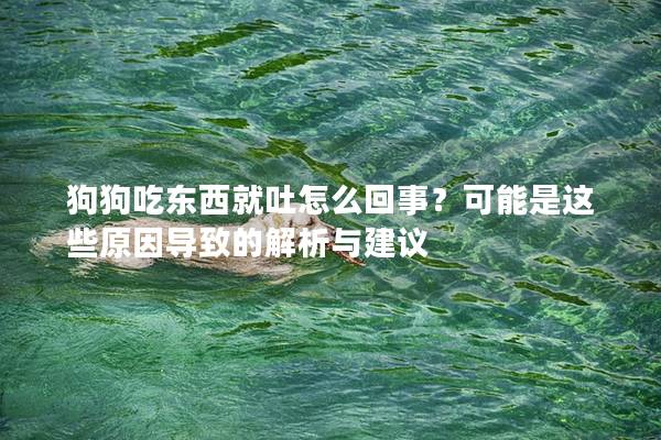 狗狗吃東西就吐怎么回事？可能是這些原因?qū)е碌慕馕雠c建議