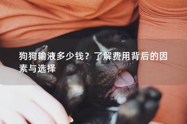 狗狗輸液多少錢？了解費用背后的因素與選擇