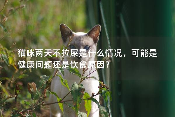 貓咪兩天不拉屎是什么情況，可能是健康問題還是飲食原因？