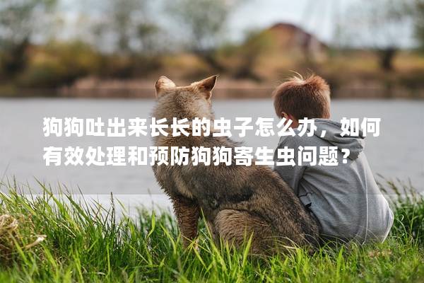 狗狗吐出來長(zhǎng)長(zhǎng)的蟲子怎么辦,如何有效處理和預(yù)防狗狗寄生蟲問題?