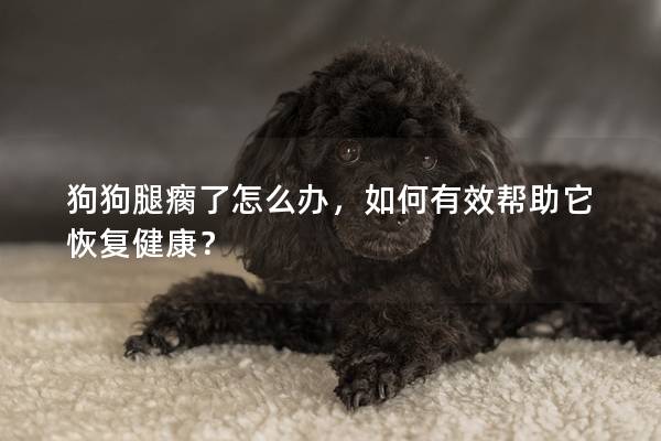 狗狗腿瘸了怎么辦，如何有效幫助它恢復(fù)健康？