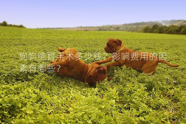 狗狗絕育手術多少錢？影響費用的因素有哪些？