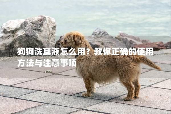 狗狗洗耳液怎么用？教你正確的使用方法與注意事項