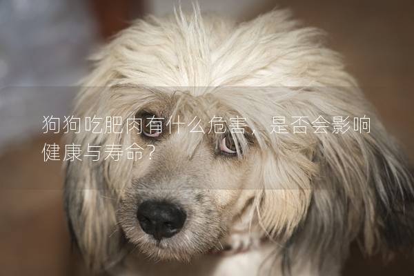 狗狗吃肥肉有什么危害，是否會影響健康與壽命？