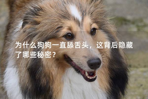 為什么狗狗一直舔舌頭，這背后隱藏了哪些秘密？