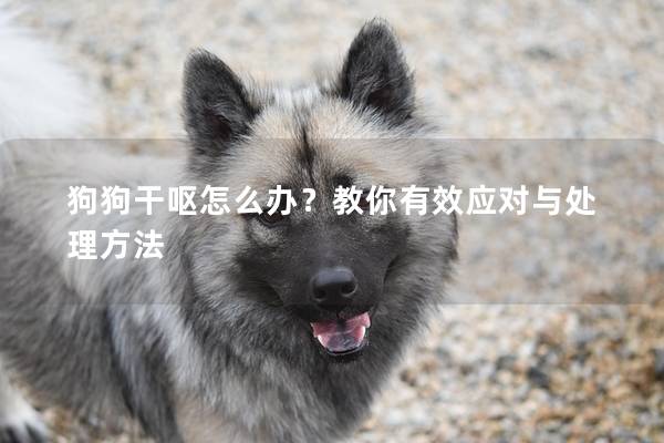 狗狗干嘔怎么辦？教你有效應對與處理方法