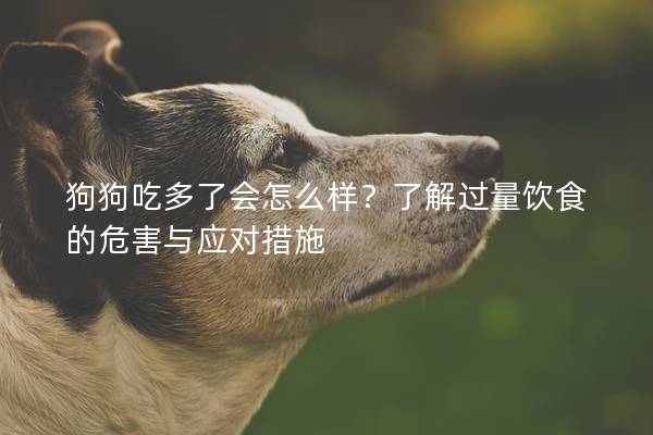 狗狗吃多了會怎么樣？了解過量飲食的危害與應(yīng)對措施