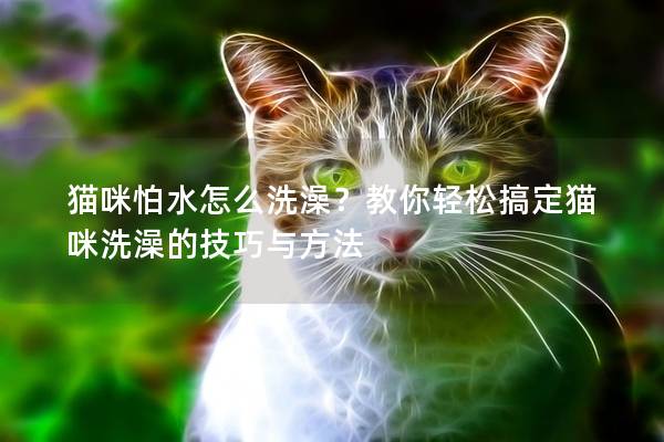 貓咪怕水怎么洗澡？教你輕松搞定貓咪洗澡的技巧與方法
