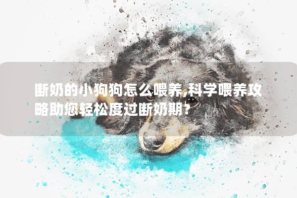 斷奶的小狗狗怎么喂養(yǎng),科學(xué)喂養(yǎng)攻略助您輕松度過(guò)斷奶期？