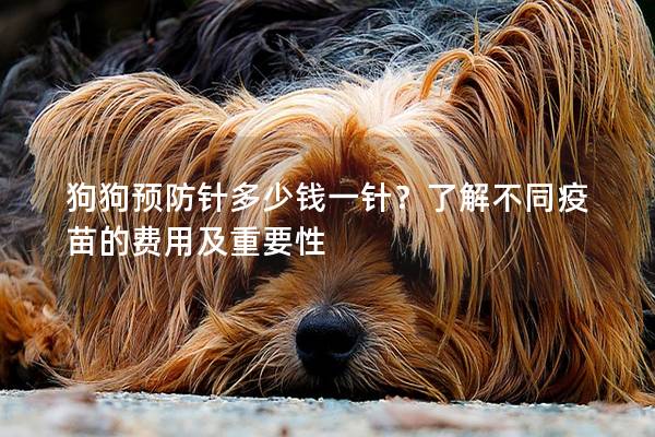 狗狗預(yù)防針多少錢(qián)一針？了解不同疫苗的費(fèi)用及重要性
