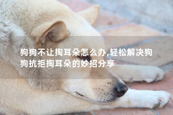 狗狗不讓掏耳朵怎么辦,輕松解決狗狗抗拒掏耳朵的妙招分享