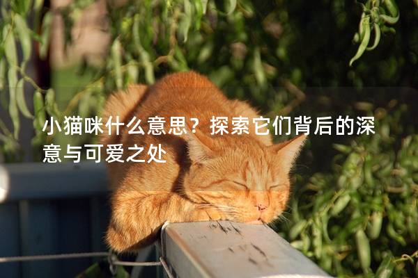 小貓咪什么意思？探索它們背后的深意與可愛之處