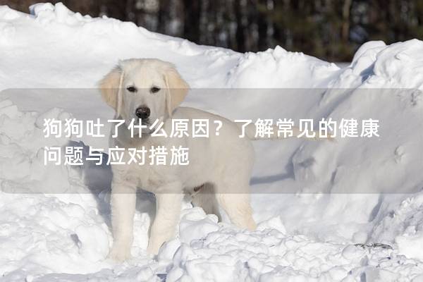 狗狗吐了什么原因？了解常見的健康問題與應(yīng)對措施