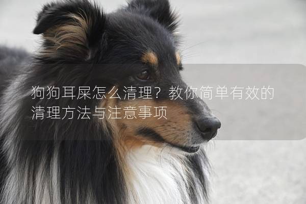 狗狗耳屎怎么清理？教你簡單有效的清理方法與注意事項