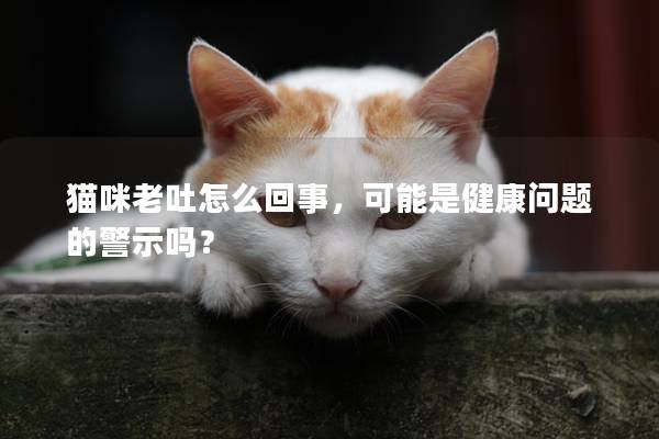 貓咪老吐怎么回事，可能是健康問題的警示嗎？