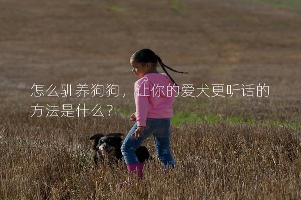 怎么馴養(yǎng)狗狗,讓你的愛犬更聽話的方法是什么? 怎么馴養(yǎng)狗狗,讓你的愛犬更聽話的方法是什么?