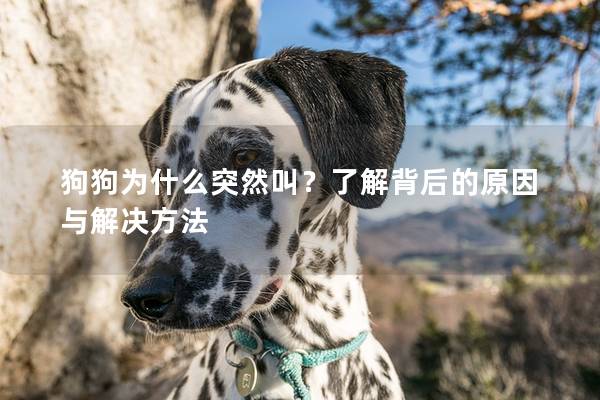狗狗為什么突然叫？了解背后的原因與解決方法